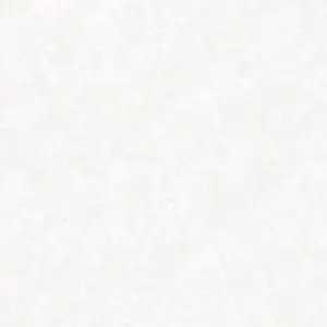   Background  BG10344-02 -  1
