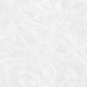   Background  BG10391-01 -  1