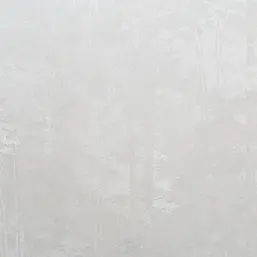   Forest AR11218-01