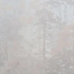   Forest AR11218-02