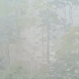   Forest AR11218-04