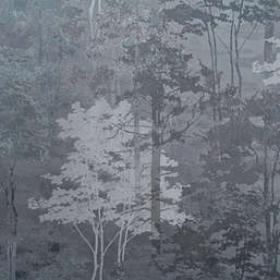   Forest AR11218-05