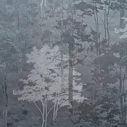   Forest AR11218-05