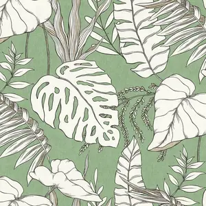   Forest AR11247-03 -  1