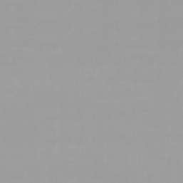   Forest AR11248-01