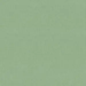   Forest AR11248-03 -  1