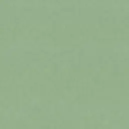   Forest AR11248-03