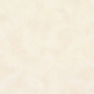   Selena AR10725-02 -  1