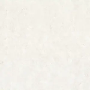   Selena AR10837-02 -  1