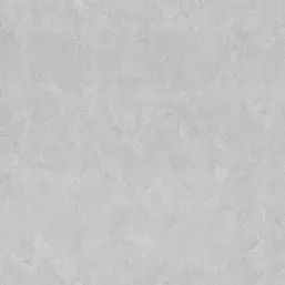   Selena AR10837-05