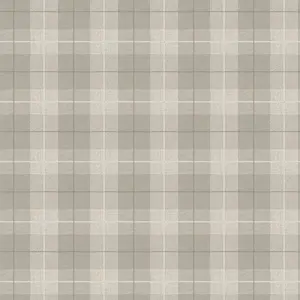  Arthouse Geometrics Checks&Stripes 294903. -  1