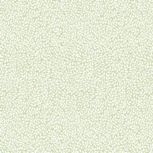  Aura Signature Laura Ashley 113352 -  1