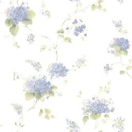  Aura Cute PF38108