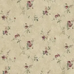  Aura Cute PF38116