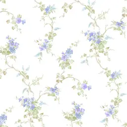  Aura Cute PF38152