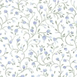  Aura Cute PF38156