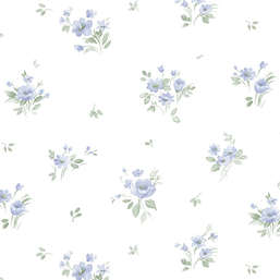  Aura Cute PF38159