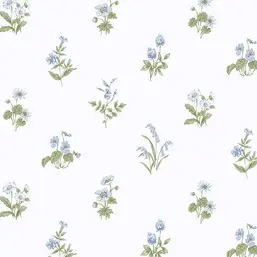  Aura Cute PF38166