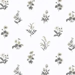  Aura Cute PF38167 -  1