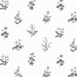  Aura Cute PF38167