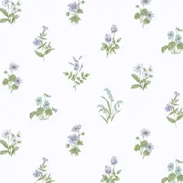  Aura Cute PF38169