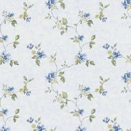  Aura Cute PF38175