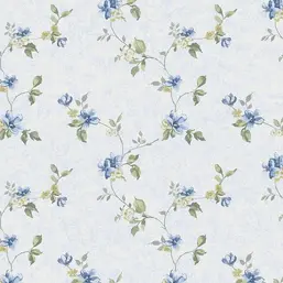  Aura Cute PF38175