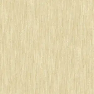  Aura Equinox FD25291 -  1