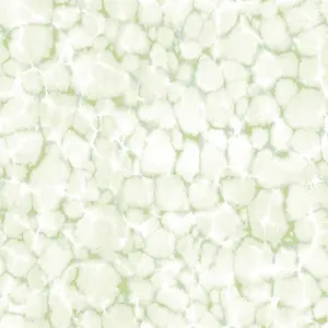 Aura Evergreen 7316 -  1