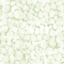  Aura Evergreen 7316