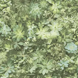  Aura Evergreen 7320