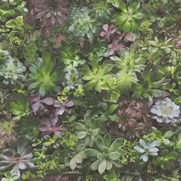  Aura Evergreen 7322