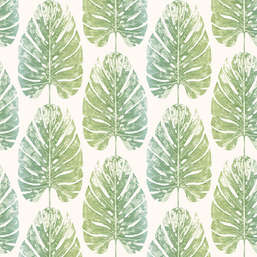  Aura Evergreen 7326