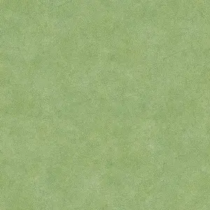 Обои Aura Evergreen 7333 - фото 1