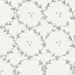  Aura Flourish AF37744 -  1