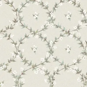  Aura Flourish AF37745 -  1