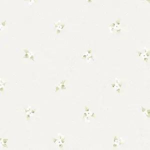  Aura Flourish AF37749 -  1
