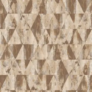  Aura Grunge G45335 -  1