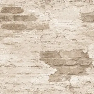  Aura Grunge G45355 -  1
