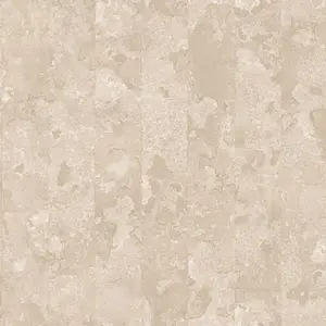  Aura Grunge G45359 -  1