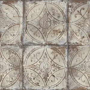  Aura Grunge G45373 -  1
