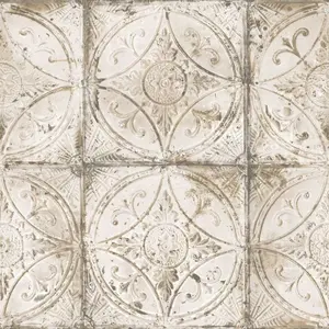  Aura Grunge G45374 -  1