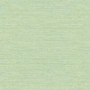  Aura Pacifica FD24284 B -  1