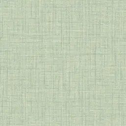  Aura Pacifica FD25874 B
