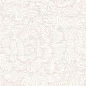  Aura Pacifica FD26037 B -  1