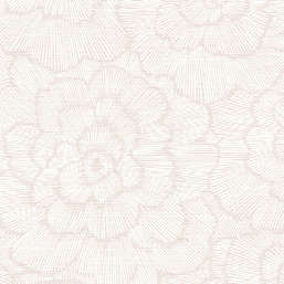  Aura Pacifica FD26037 B
