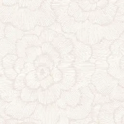  Aura Pacifica FD26037 B