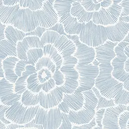  Aura Pacifica FD26039 B