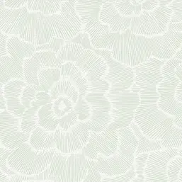  Aura Pacifica FD26040 B