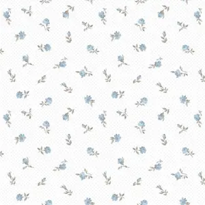  Aura Pippo  455-1 -  1
